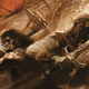 Illustration for article titled The Malazan Book of the Fallen
